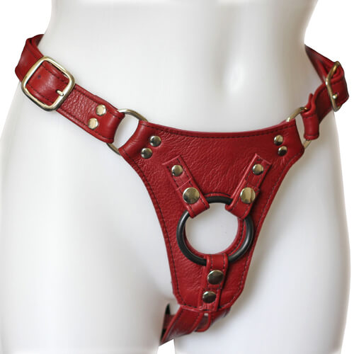 Aslan Leather Jaguar Harness