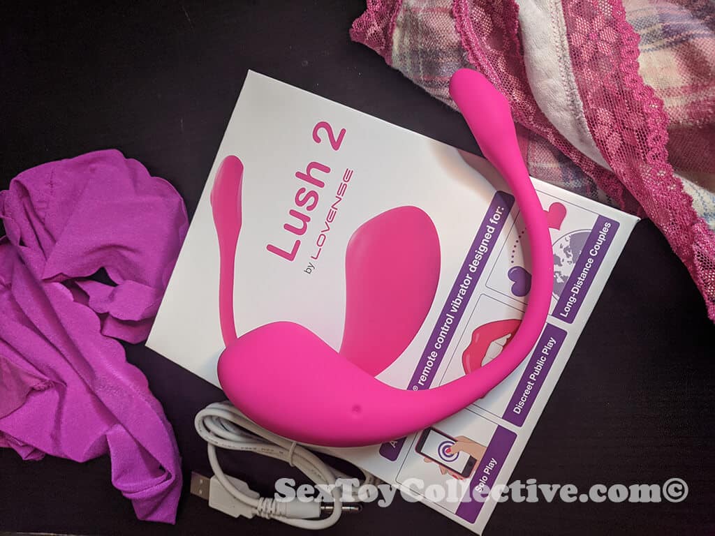 Lovense Lush2 Review